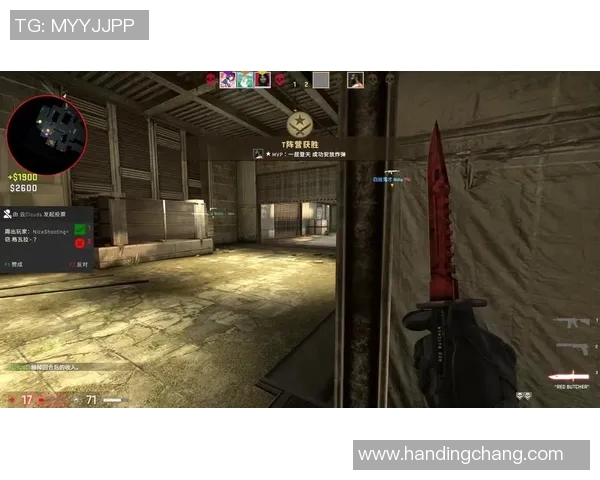 热议CSGOV5配合变革引发的战术创新与玩家体验提升探讨实时数据